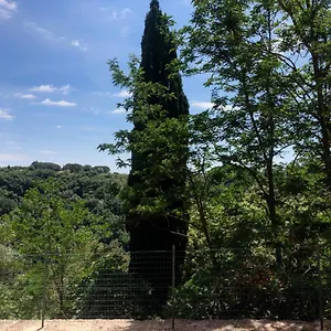  Apartamento La Casa All'oliveto